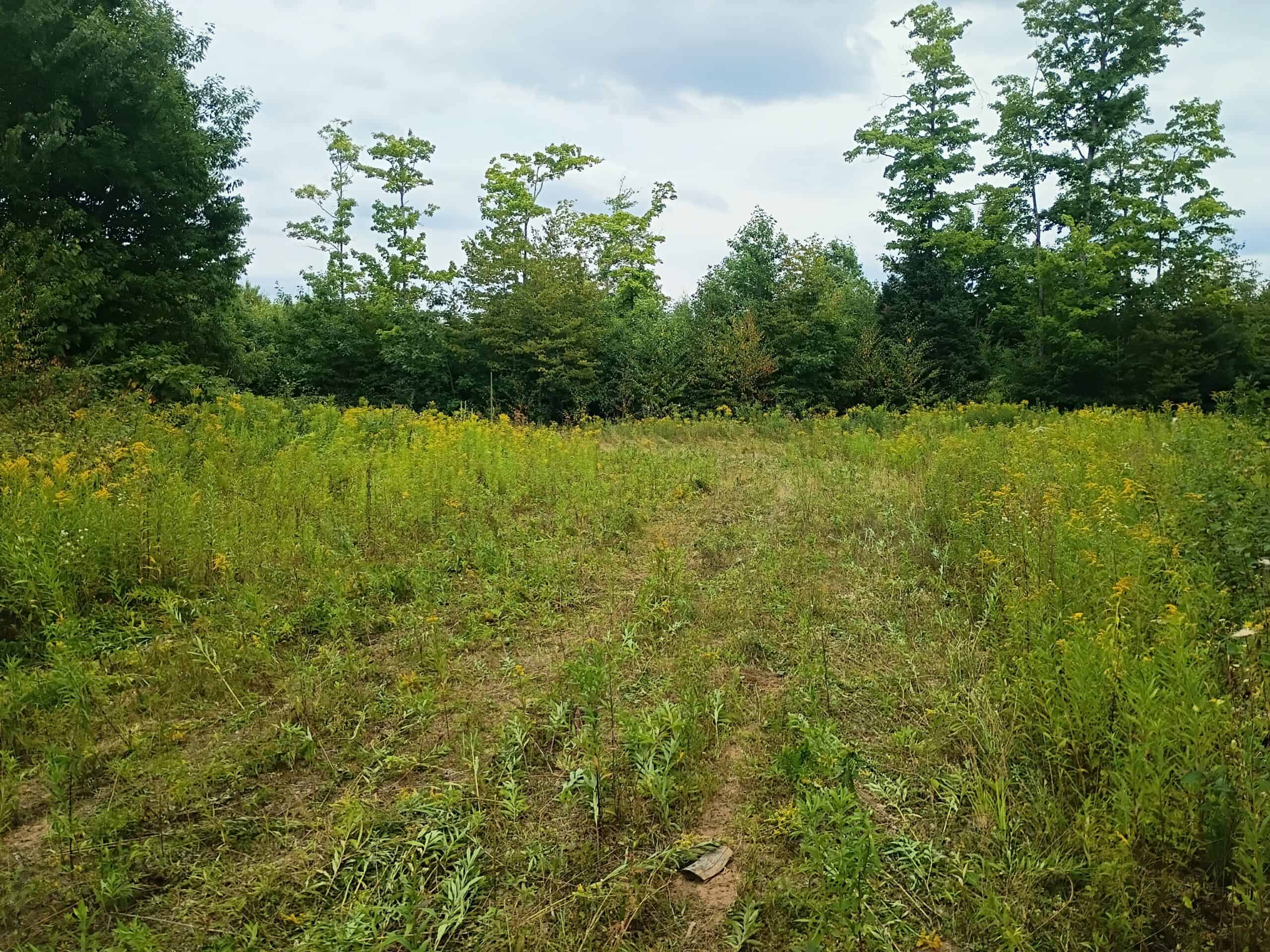 280 ± Acres Near Butternut Lake, WI Recreational Land