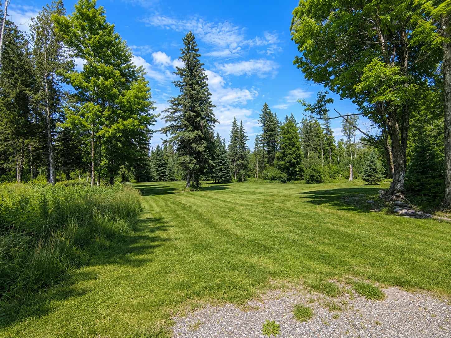 80± Acre Hunting Retreat for Sale in Butternut, WI