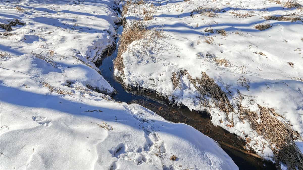 68± Acres of Timber, Water & Recreation | Monroe County, Wisconsin