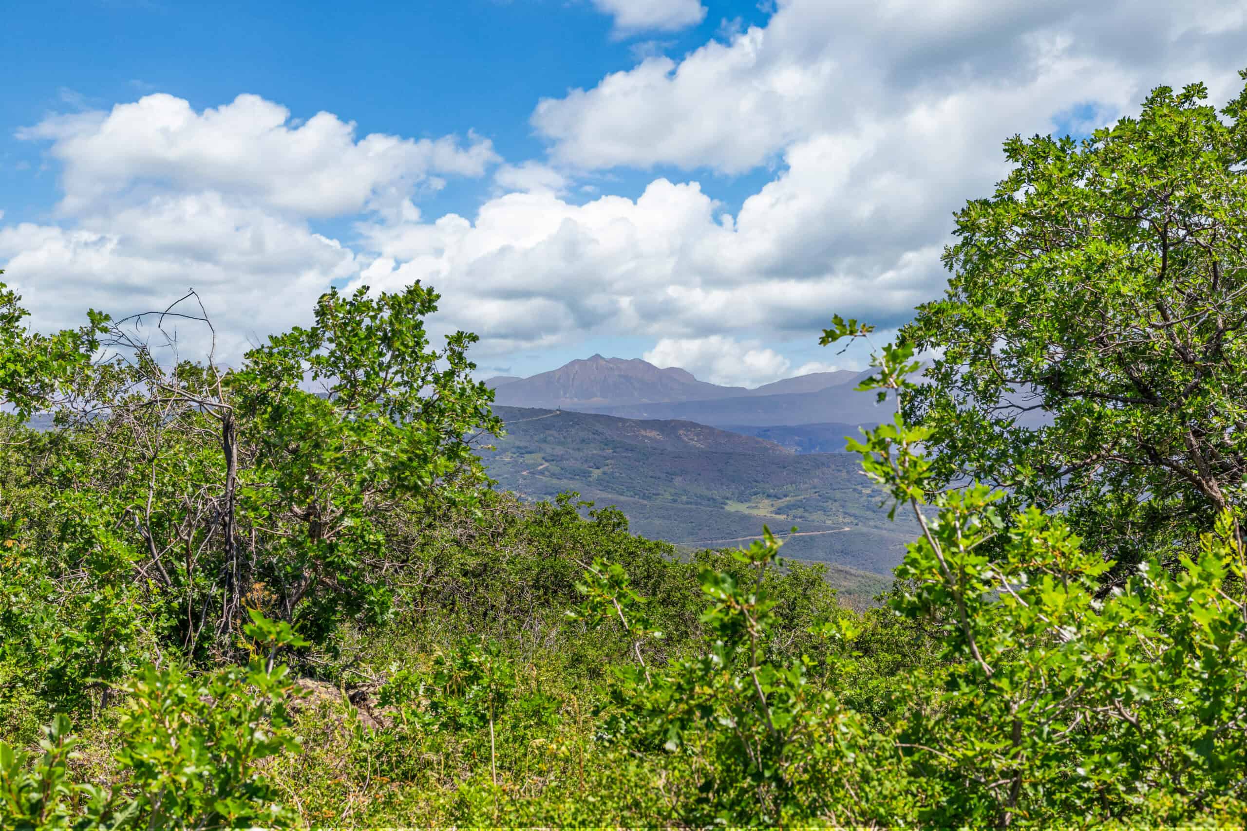 40 Acres Off-Grid Hunting Land | Roatcap Rd., Paonia CO