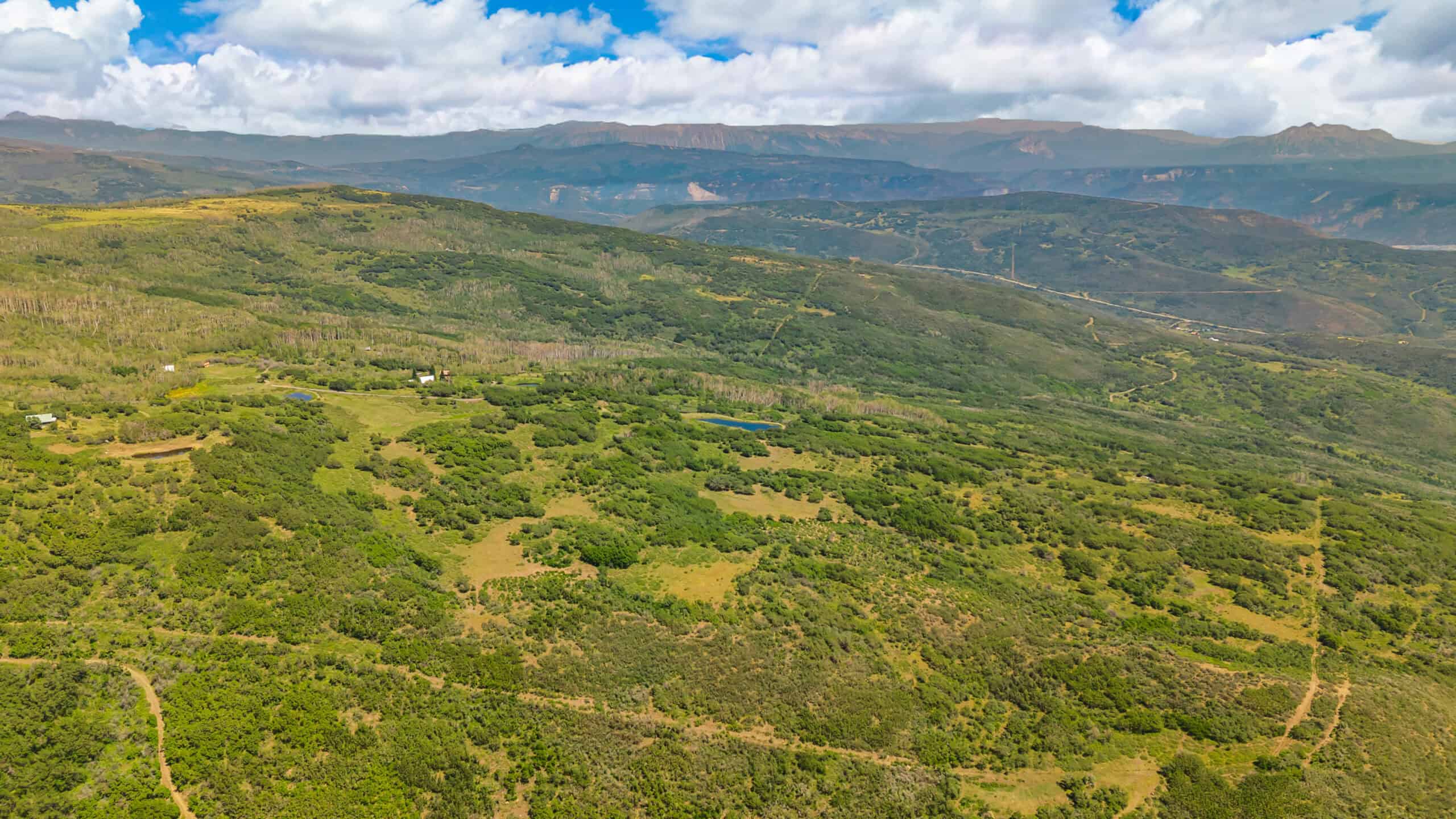 40 Acres Off-Grid Hunting Land | Roatcap Rd., Paonia CO