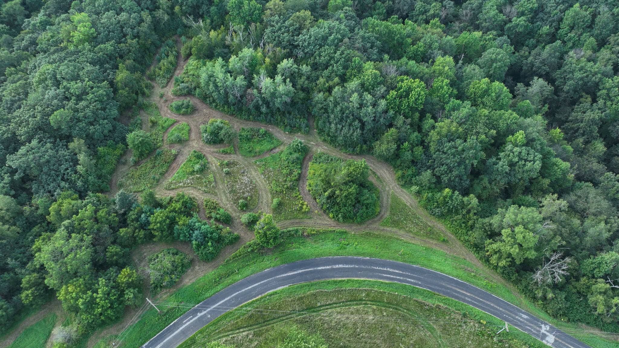 35-Acre Southwest Wisconsin Hunting Camp with Proven Whitetail History, Hardwood Ridges & Turnkey Game-Care Setup