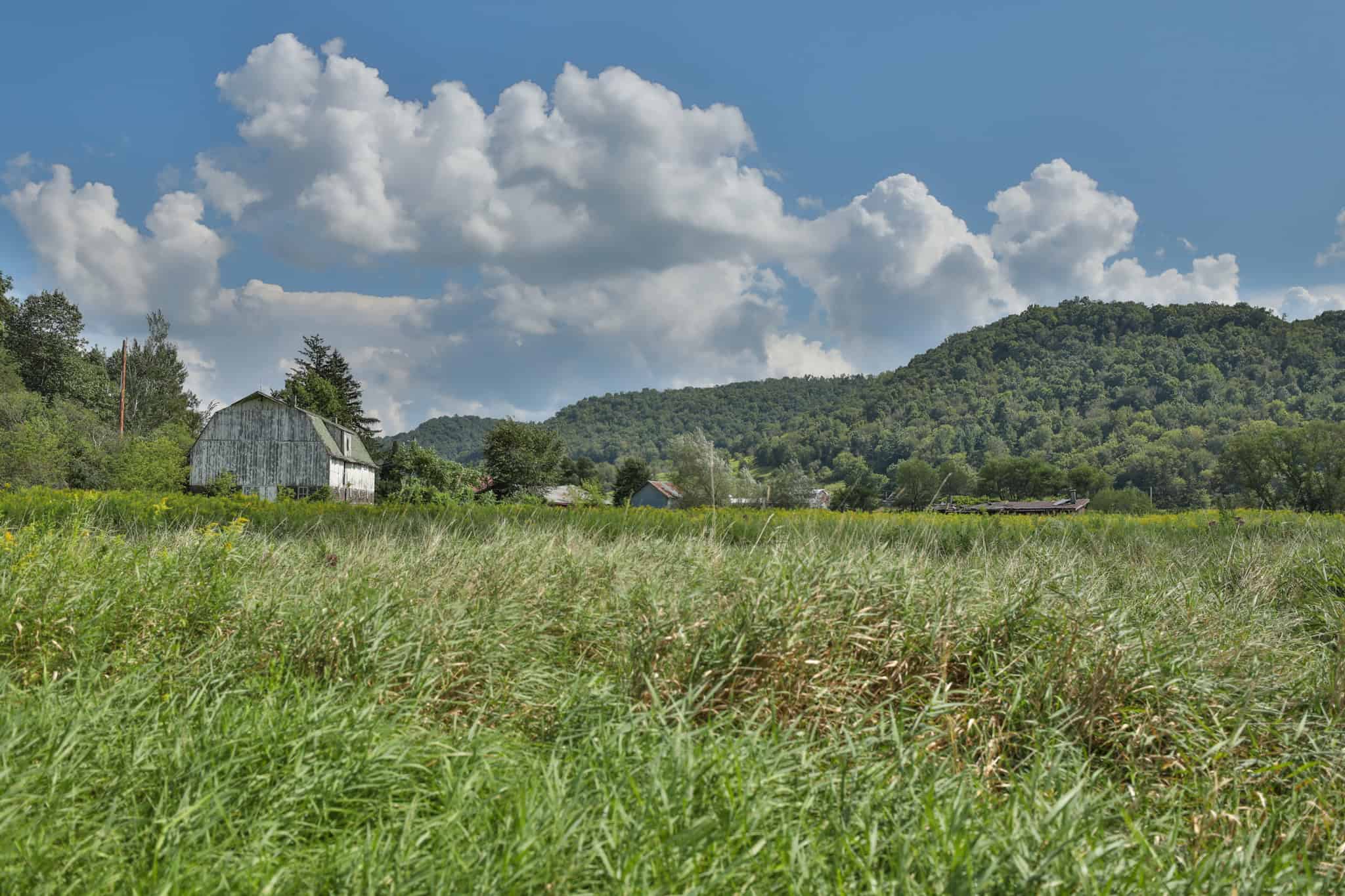 82.66 Acre Driftless Valley Farm with Trout Water Near Coon Valley, Wisconsin