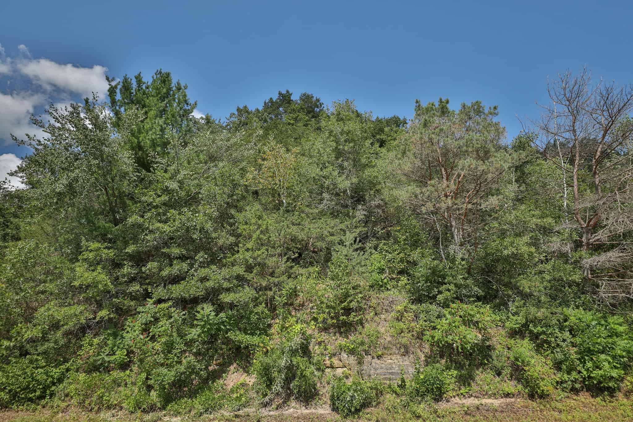 82.66 Acre Driftless Valley Farm with Trout Water Near Coon Valley, Wisconsin