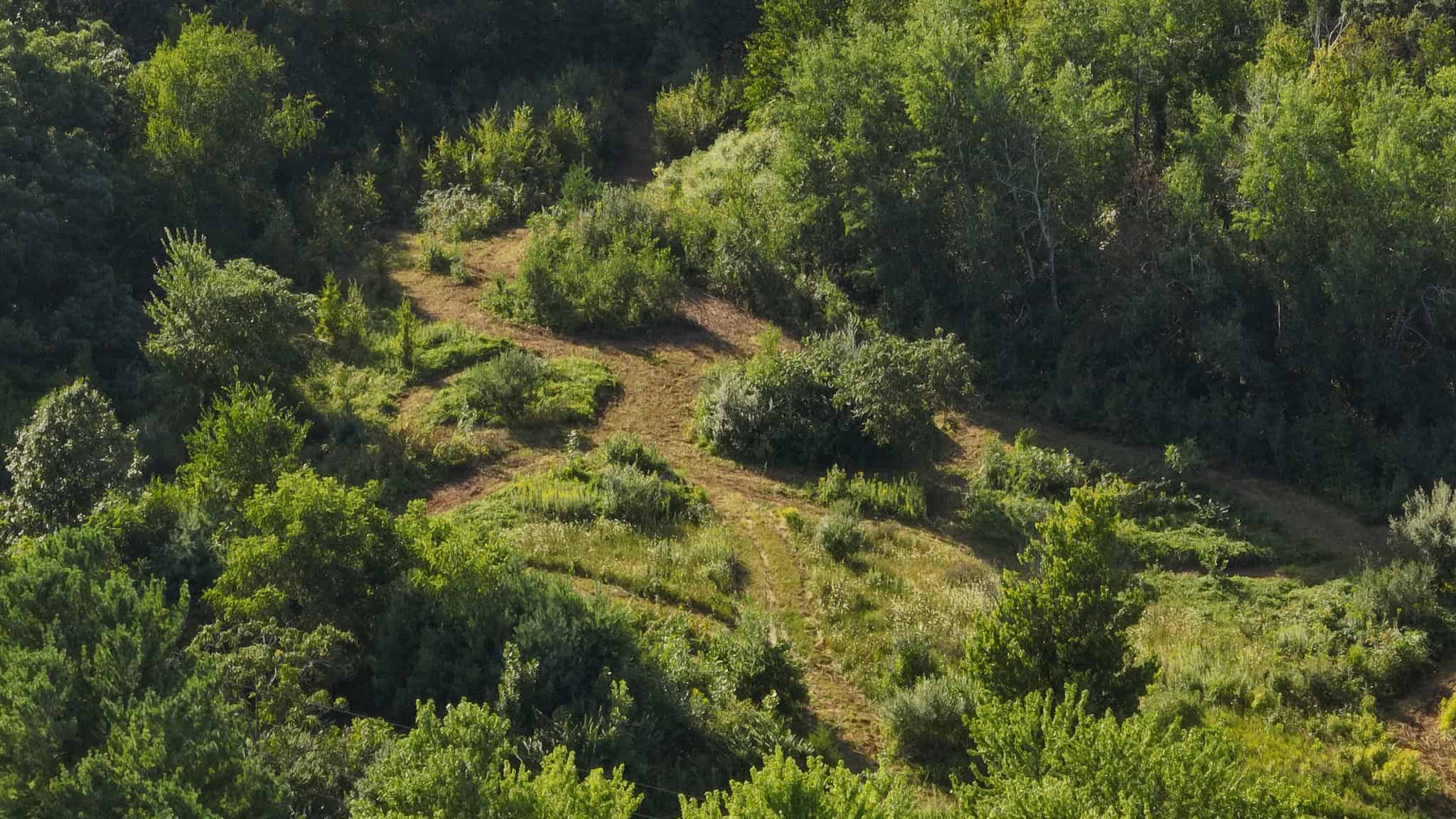35-Acre Southwest Wisconsin Hunting Camp with Proven Whitetail History, Hardwood Ridges & Turnkey Game-Care Setup