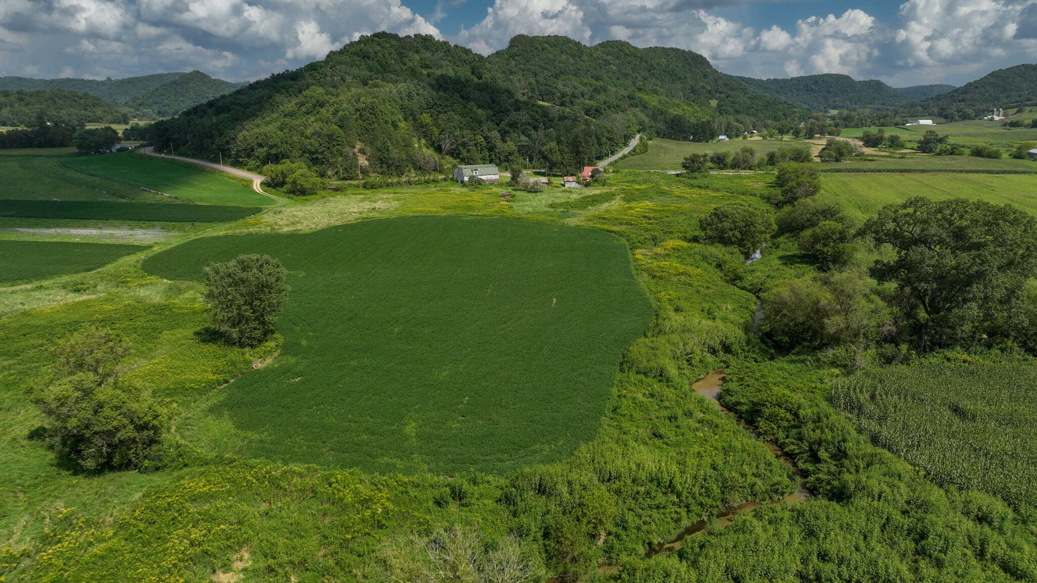 82.66 Acre Driftless Valley Farm with Trout Water Near Coon Valley, Wisconsin