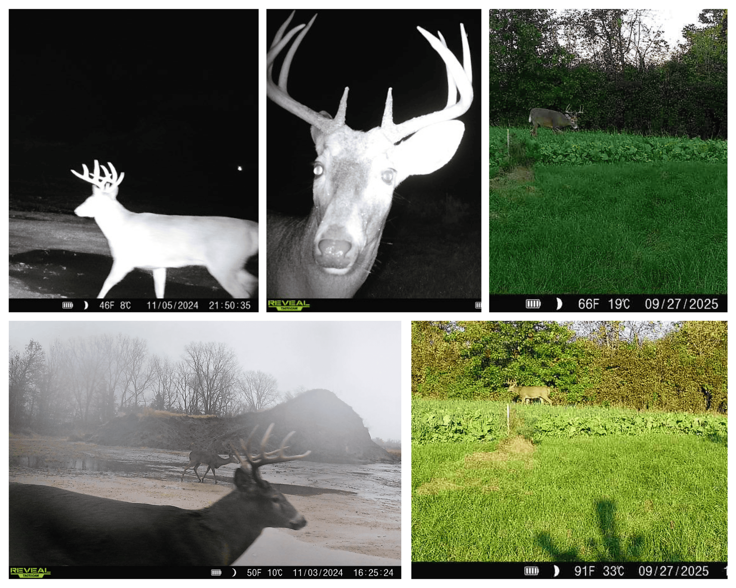 50-Acre Private Fishery & Recreational Estate | Tomah, Wisconsin