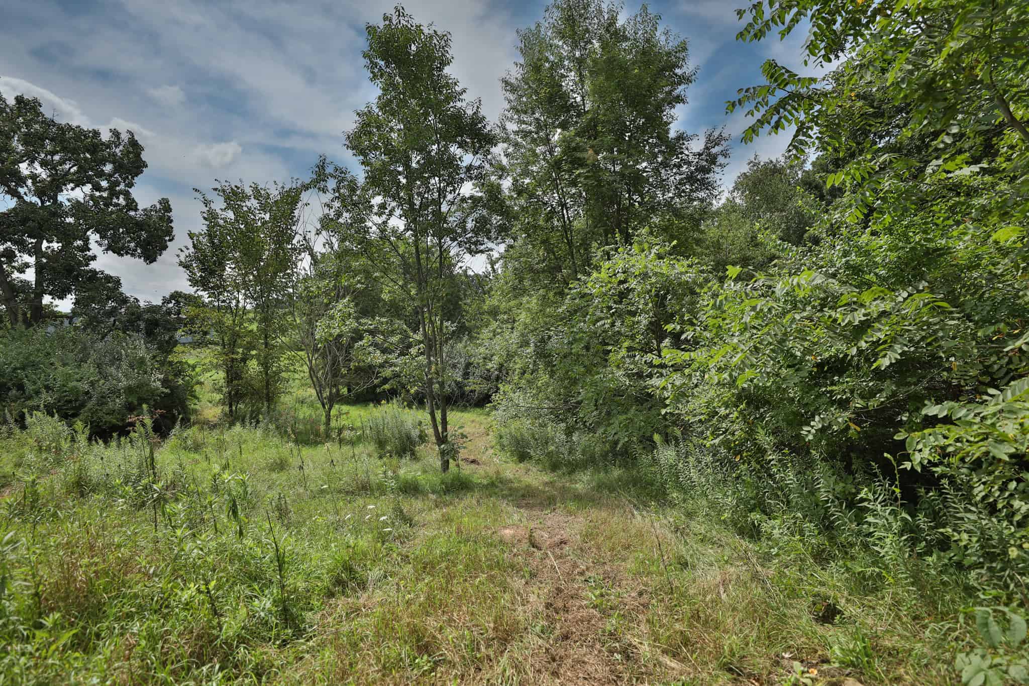 35-Acre Southwest Wisconsin Hunting Camp with Proven Whitetail History, Hardwood Ridges & Turnkey Game-Care Setup