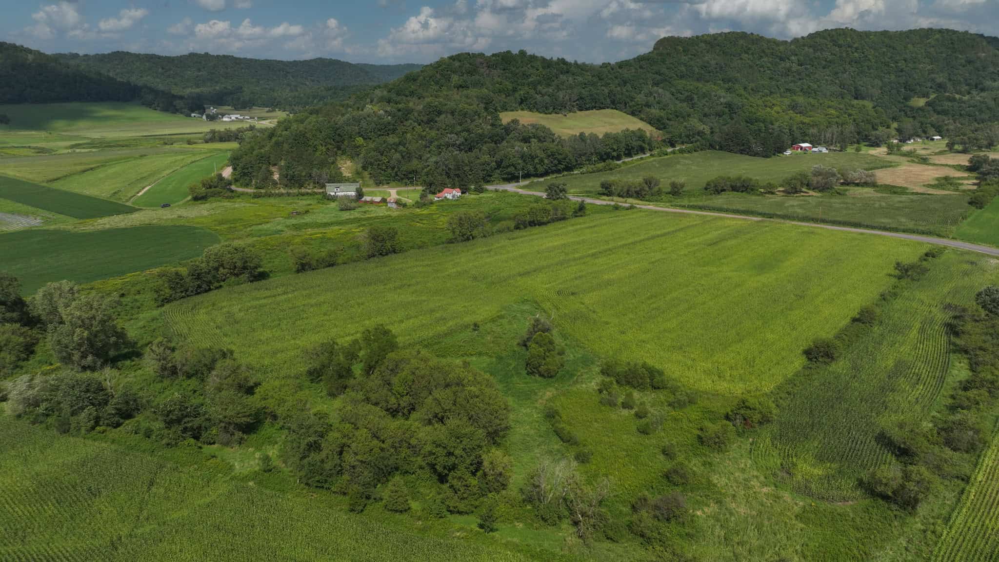 82.66 Acre Driftless Valley Farm with Trout Water Near Coon Valley, Wisconsin