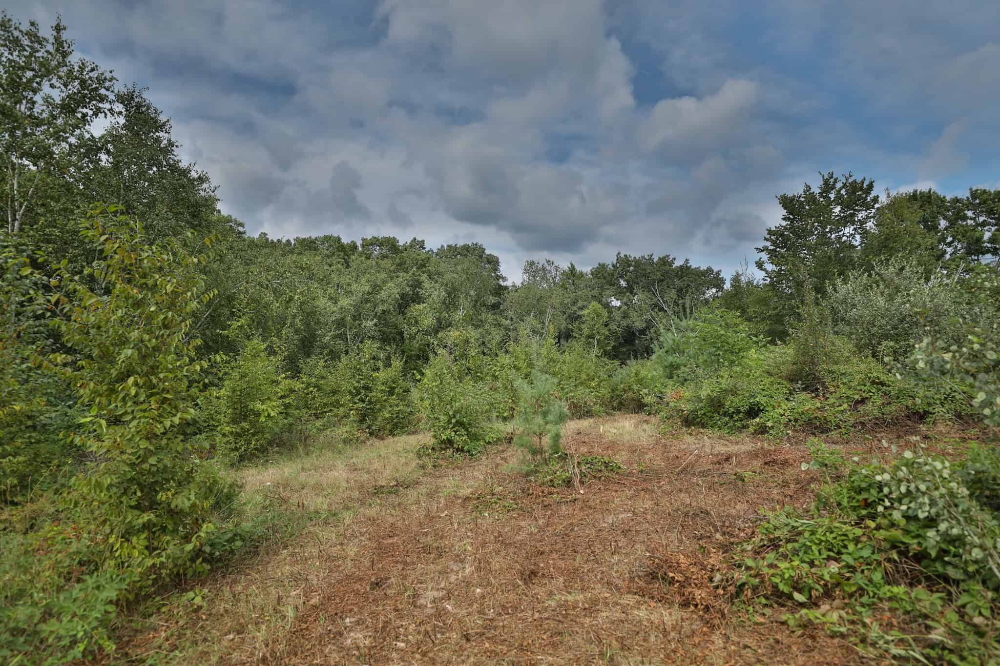 35-Acre Southwest Wisconsin Hunting Camp with Proven Whitetail History, Hardwood Ridges & Turnkey Game-Care Setup