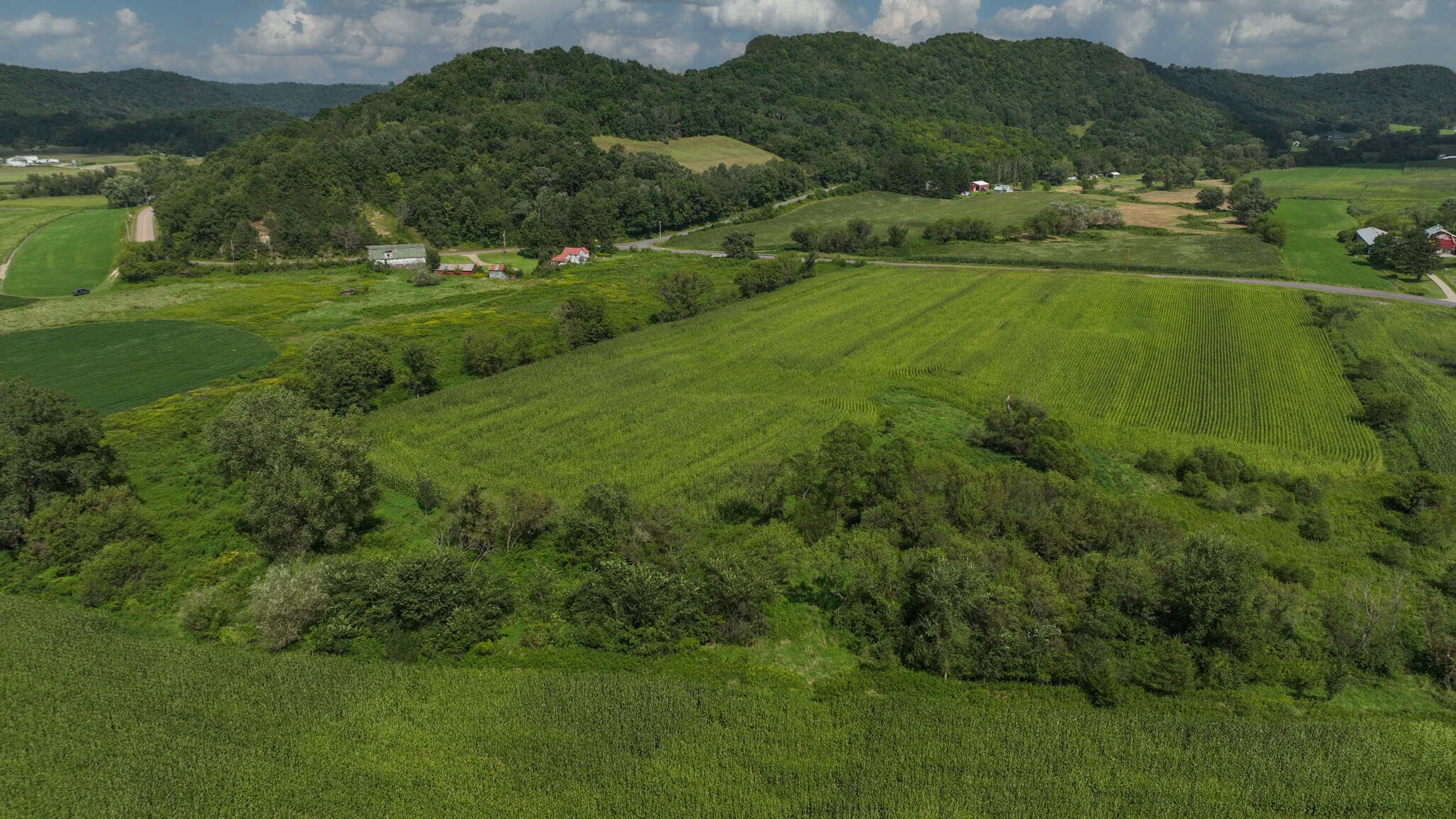 82.66 Acre Driftless Valley Farm with Trout Water Near Coon Valley, Wisconsin