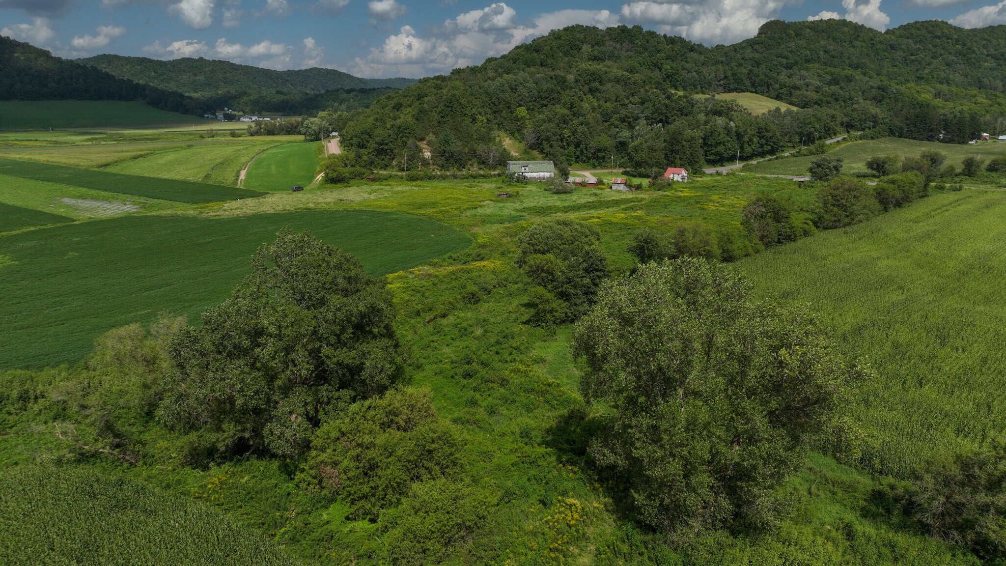 82.66 Acre Driftless Valley Farm with Trout Water Near Coon Valley, Wisconsin