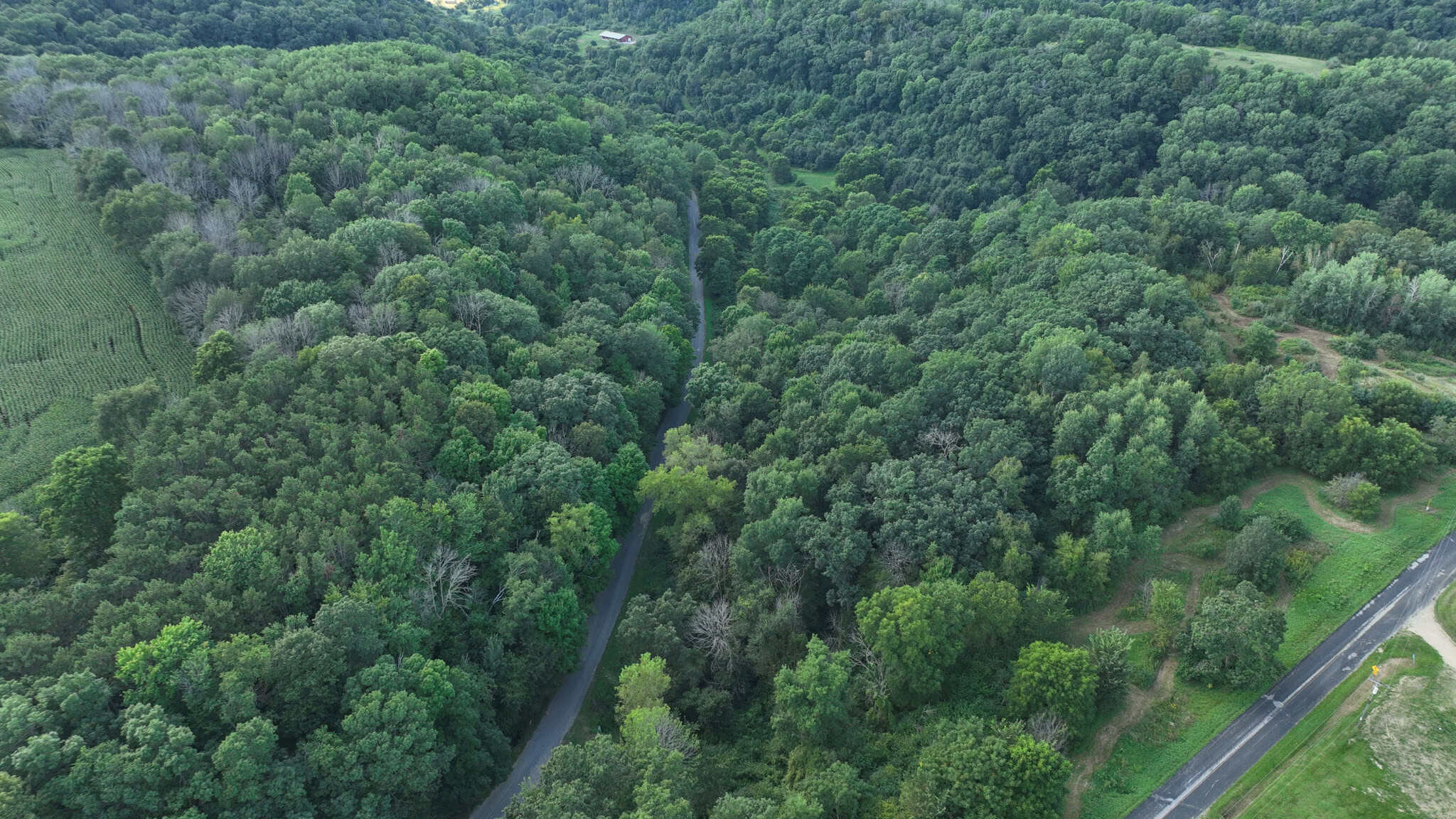 35-Acre Southwest Wisconsin Hunting Camp with Proven Whitetail History, Hardwood Ridges & Turnkey Game-Care Setup