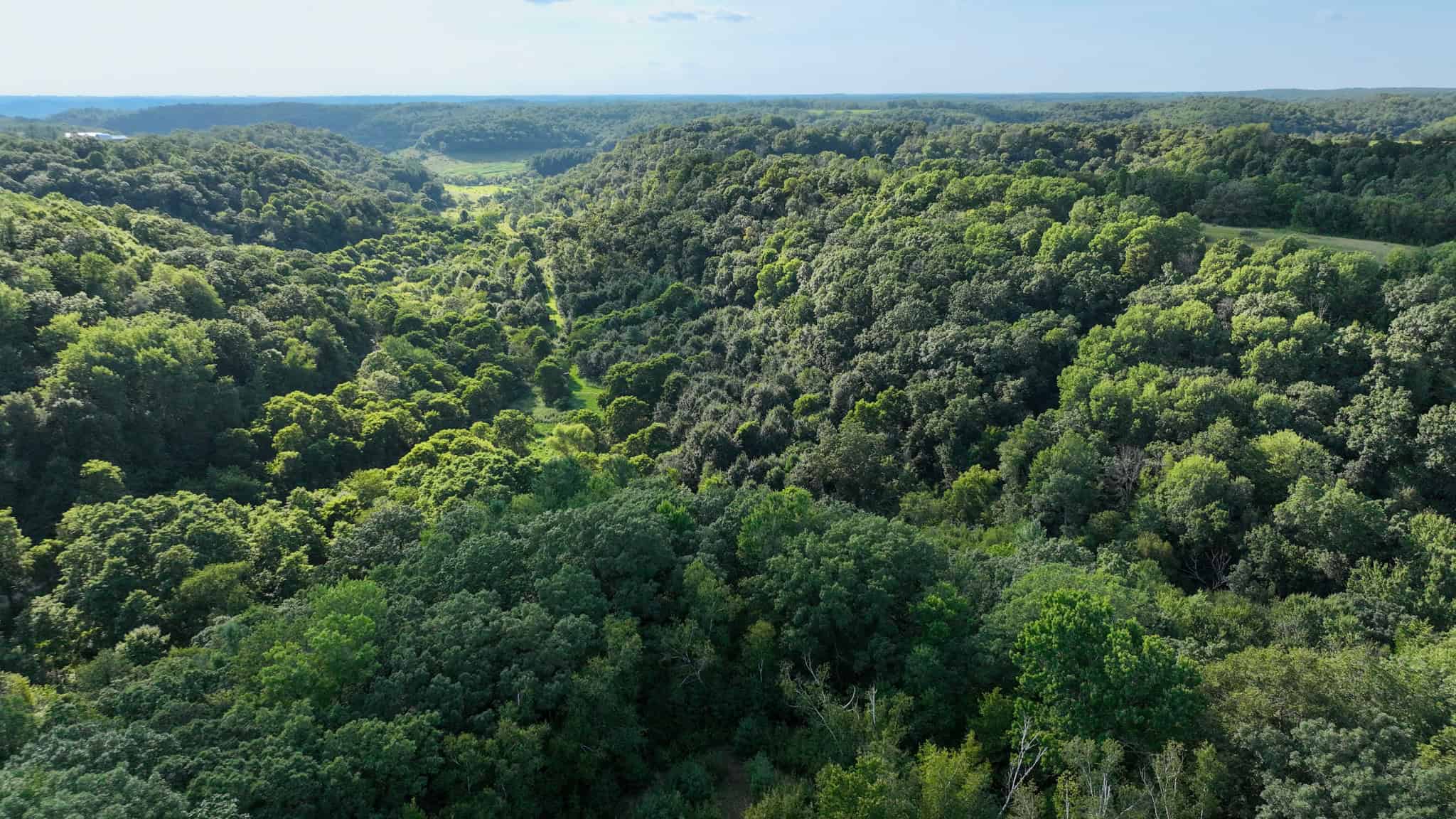 35-Acre Southwest Wisconsin Hunting Camp with Proven Whitetail History, Hardwood Ridges & Turnkey Game-Care Setup