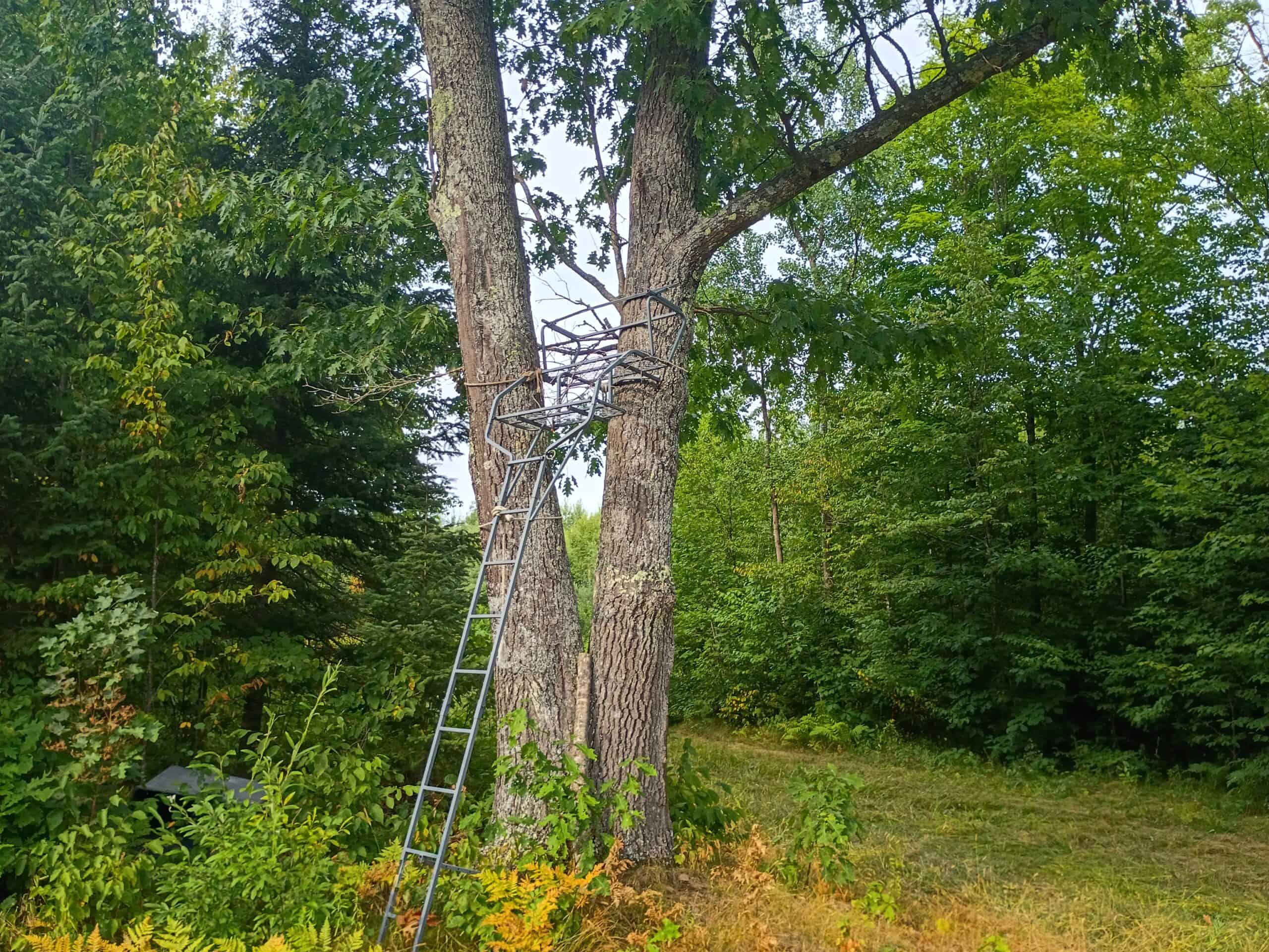 280 ± Acres Near Butternut Lake, WI Recreational Land
