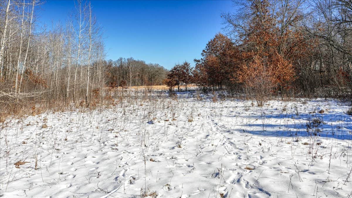 68± Acres of Timber, Water & Recreation | Monroe County, Wisconsin