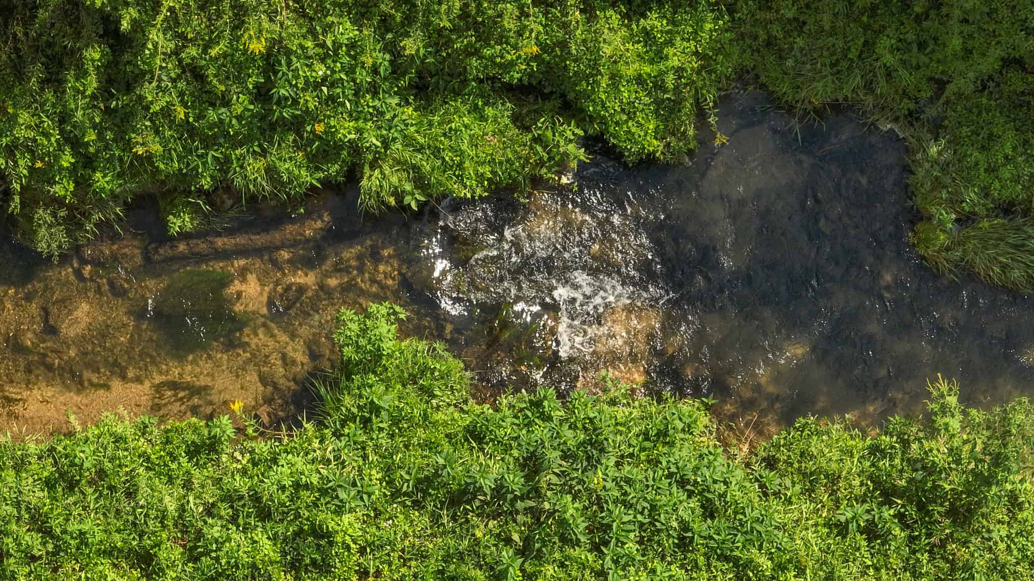 82.66 Acre Driftless Valley Farm with Trout Water Near Coon Valley, Wisconsin
