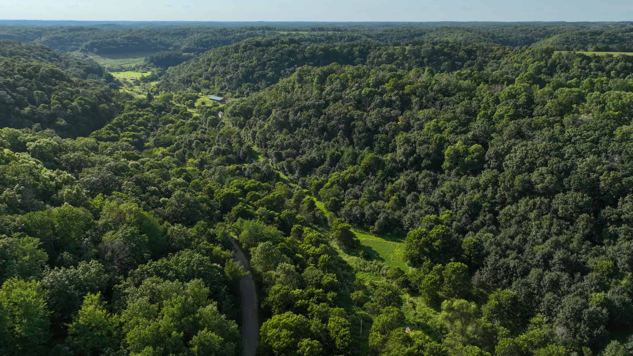 35-Acre Southwest Wisconsin Hunting Camp with Proven Whitetail History, Hardwood Ridges & Turnkey Game-Care Setup