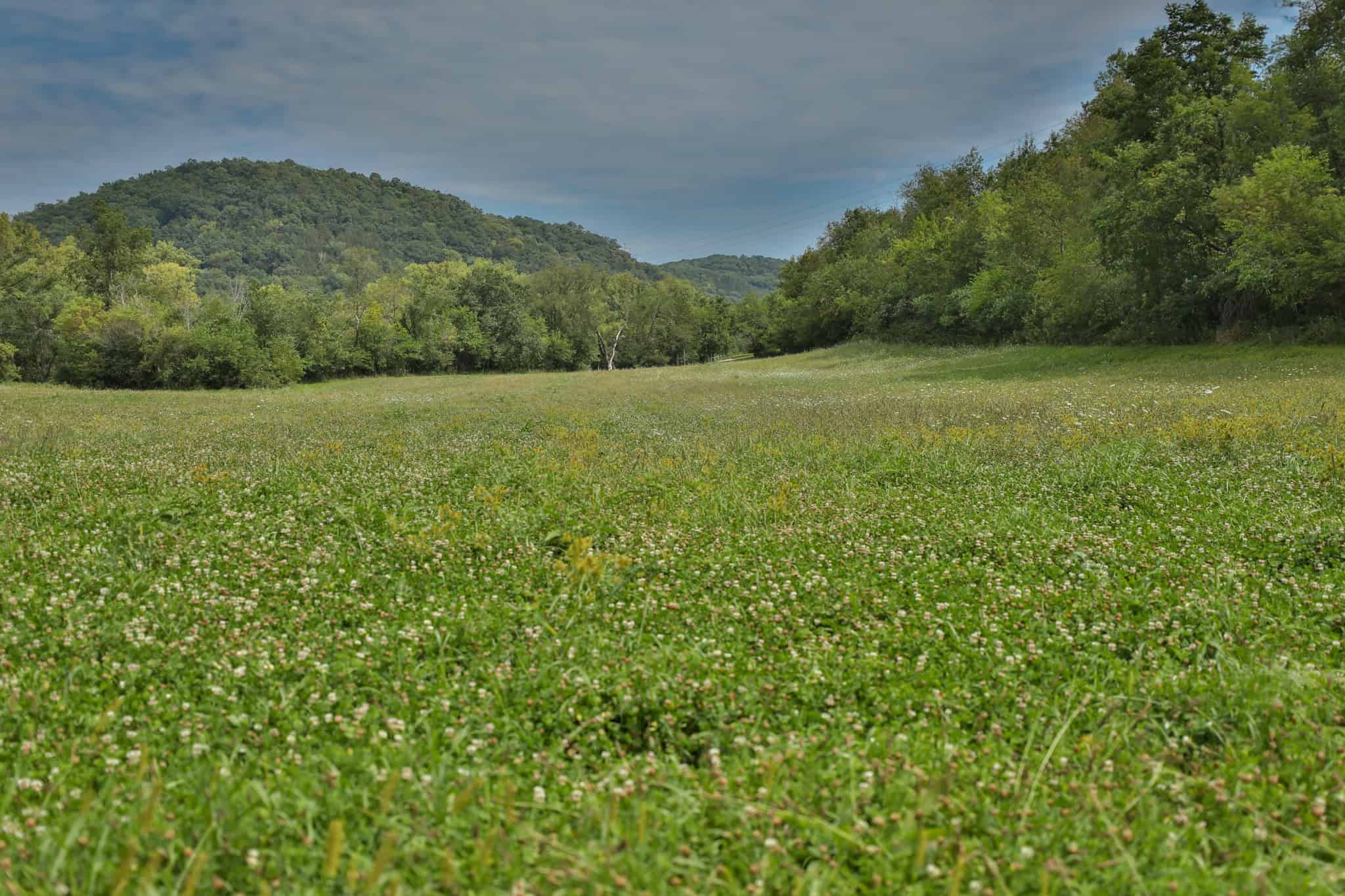 Mississippi River Valley Legacy Retreat | 42 Acres of Seclusion, Hunting & Driftless Beauty Near Genoa, Wisconsin