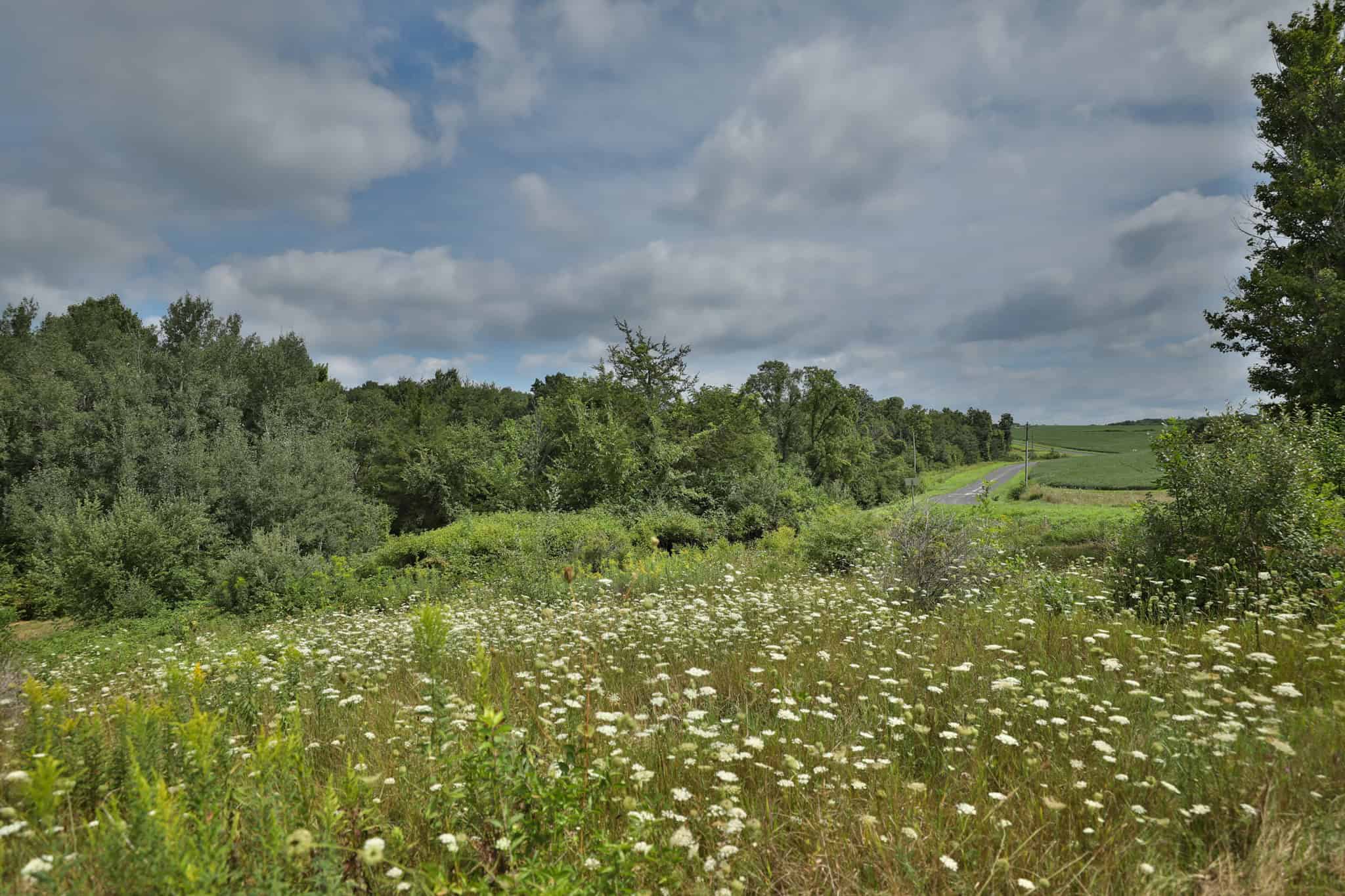 35-Acre Southwest Wisconsin Hunting Camp with Proven Whitetail History, Hardwood Ridges & Turnkey Game-Care Setup
