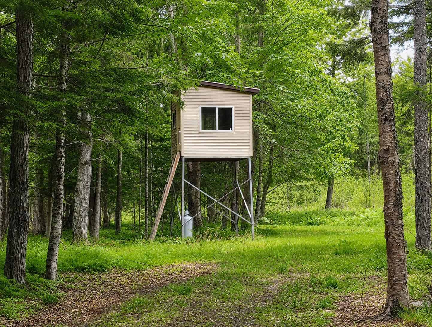 80± Acre Hunting Retreat for Sale in Butternut, WI