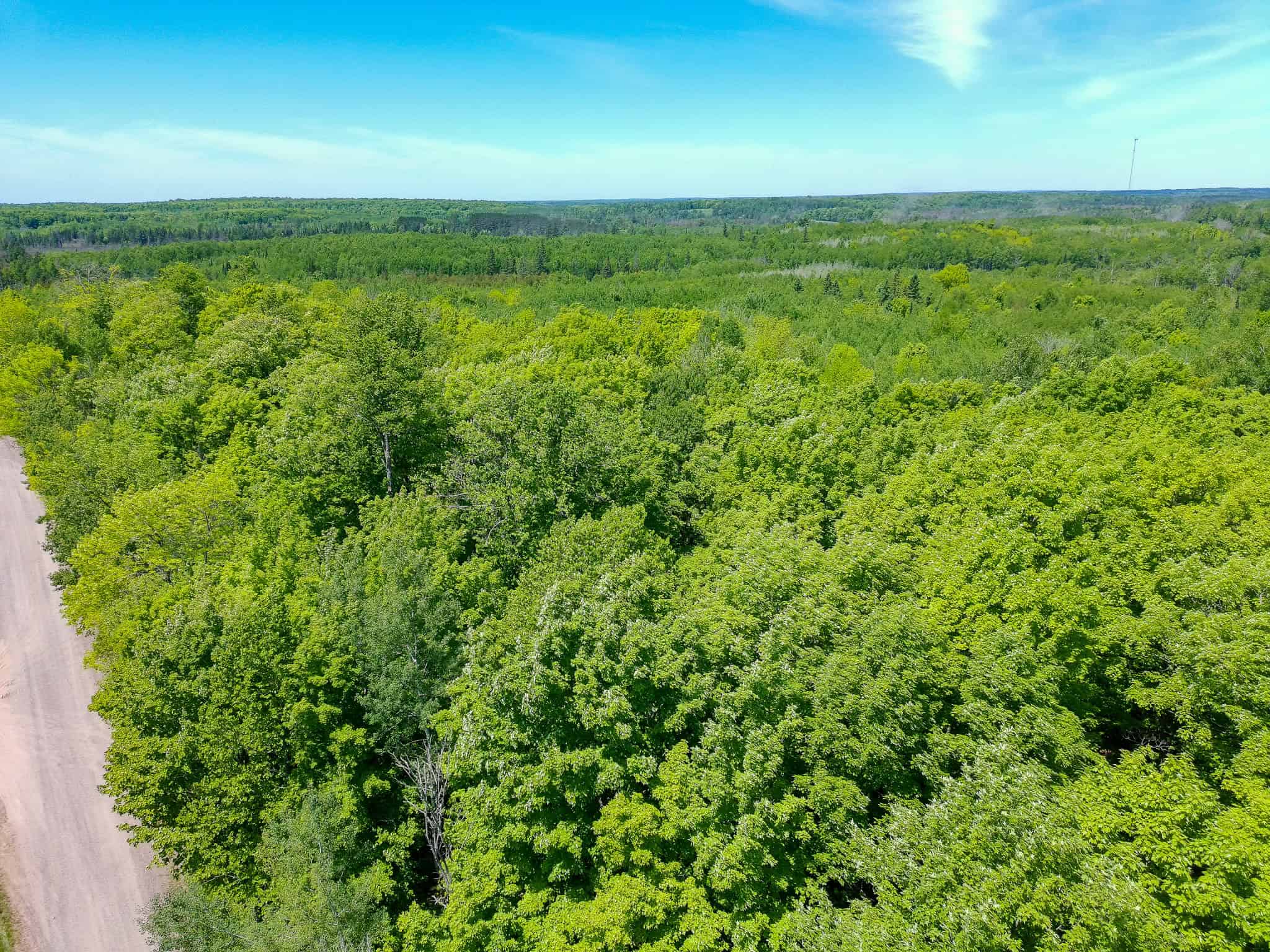 74.4 ± Acres of Hardwood Timber & Hunting Land in Glidden, WI