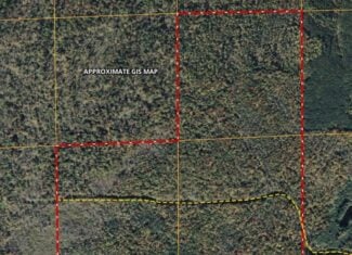 120 ± Acres Bordering Chequamegon National Forest, WI