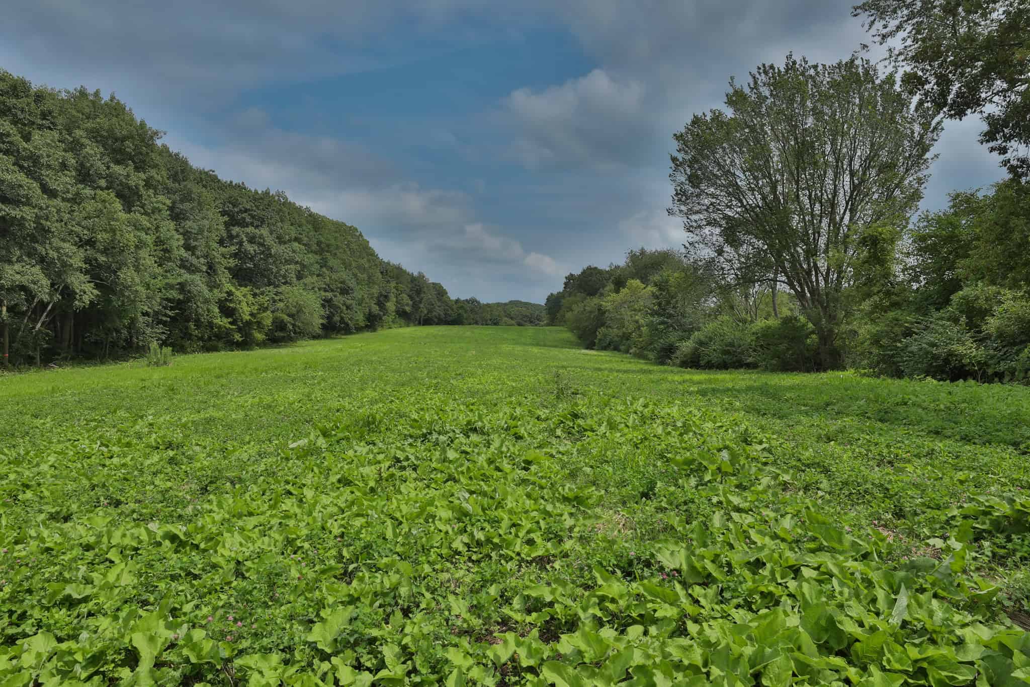 The Suldal Estate | A 104-Acre Luxury Sporting Retreat in the Heart of Wisconsin