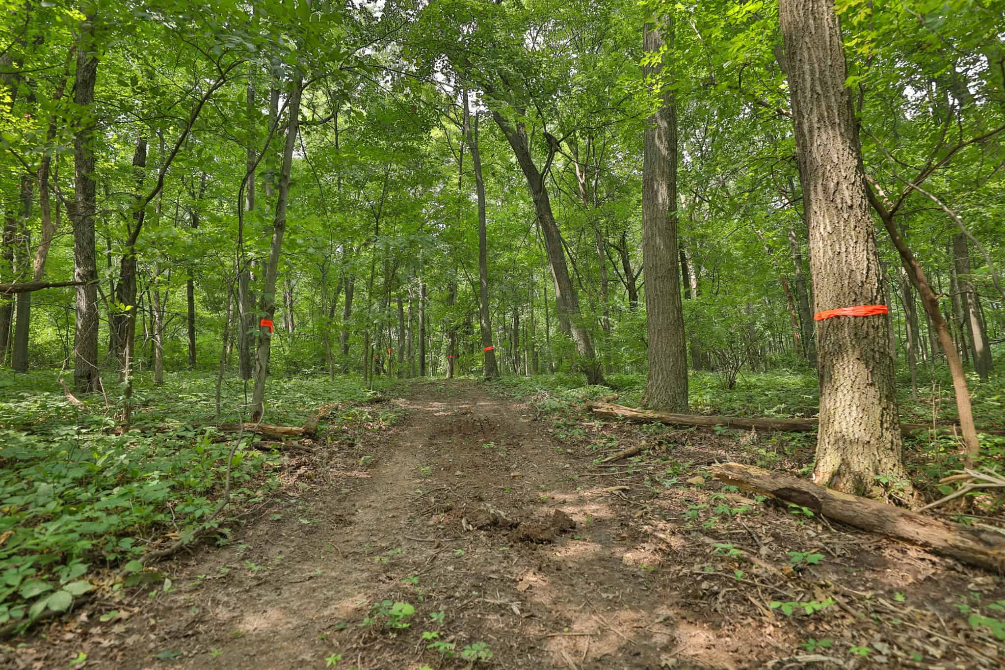 The Suldal Estate | A 104-Acre Luxury Sporting Retreat in the Heart of Wisconsin