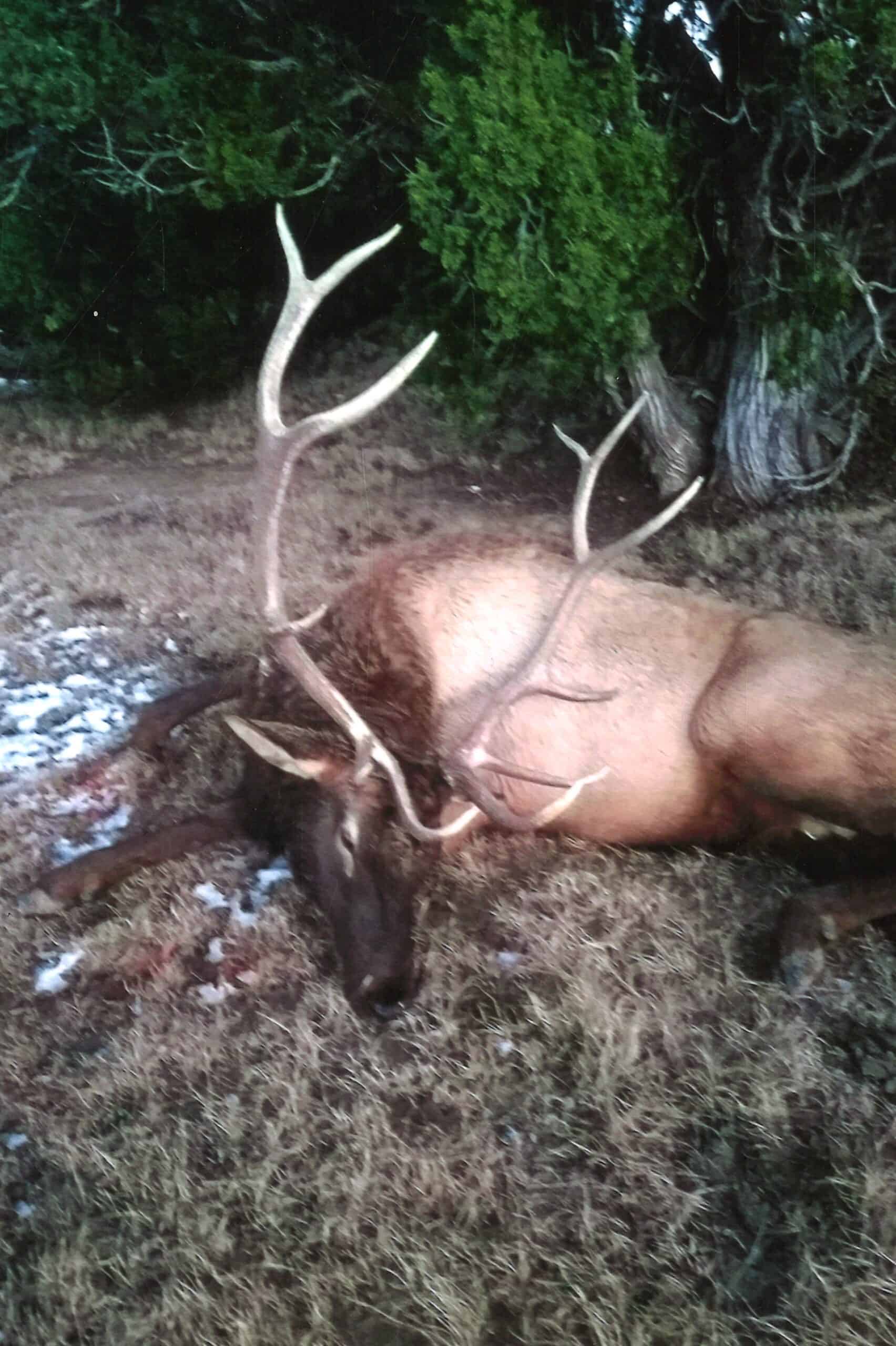 Colorado Big Game Outfitting Business For Sale