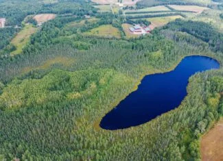 362 ± Acre Northwoods Property with Private Lake Shirley, WI
