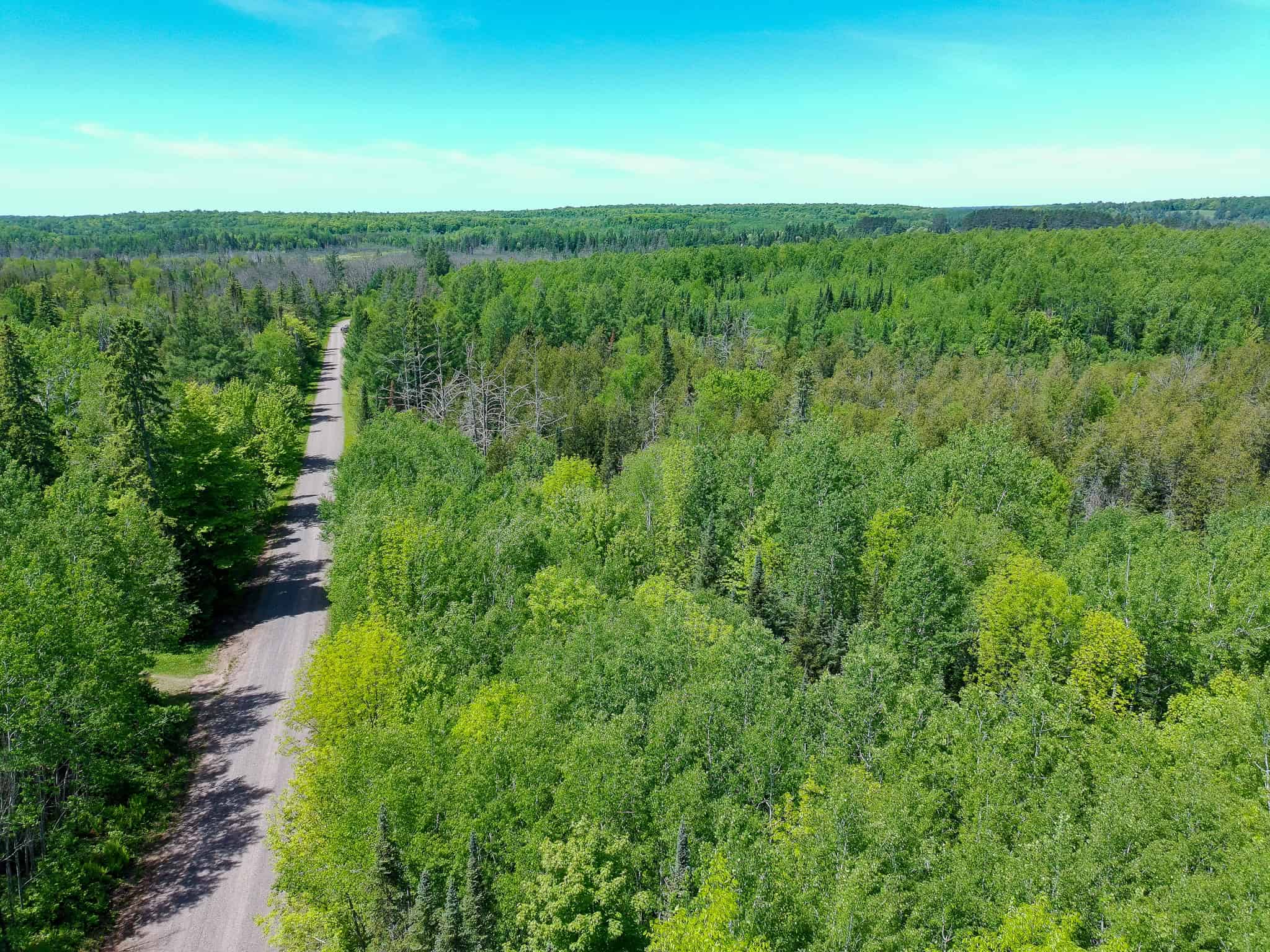 74.4 ± Acres of Hardwood Timber & Hunting Land in Glidden, WI