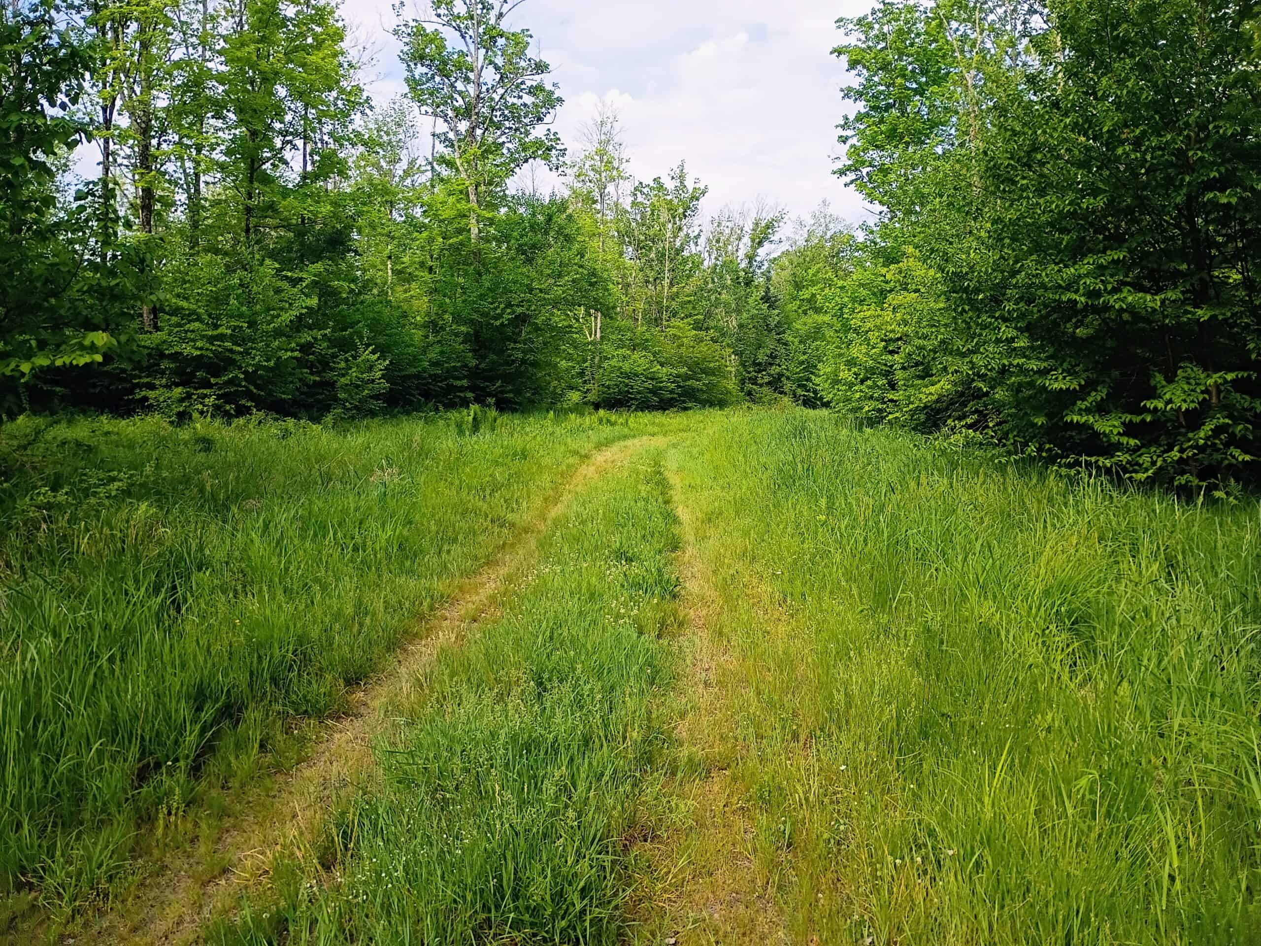 120 ± Acres Bordering Chequamegon National Forest, WI