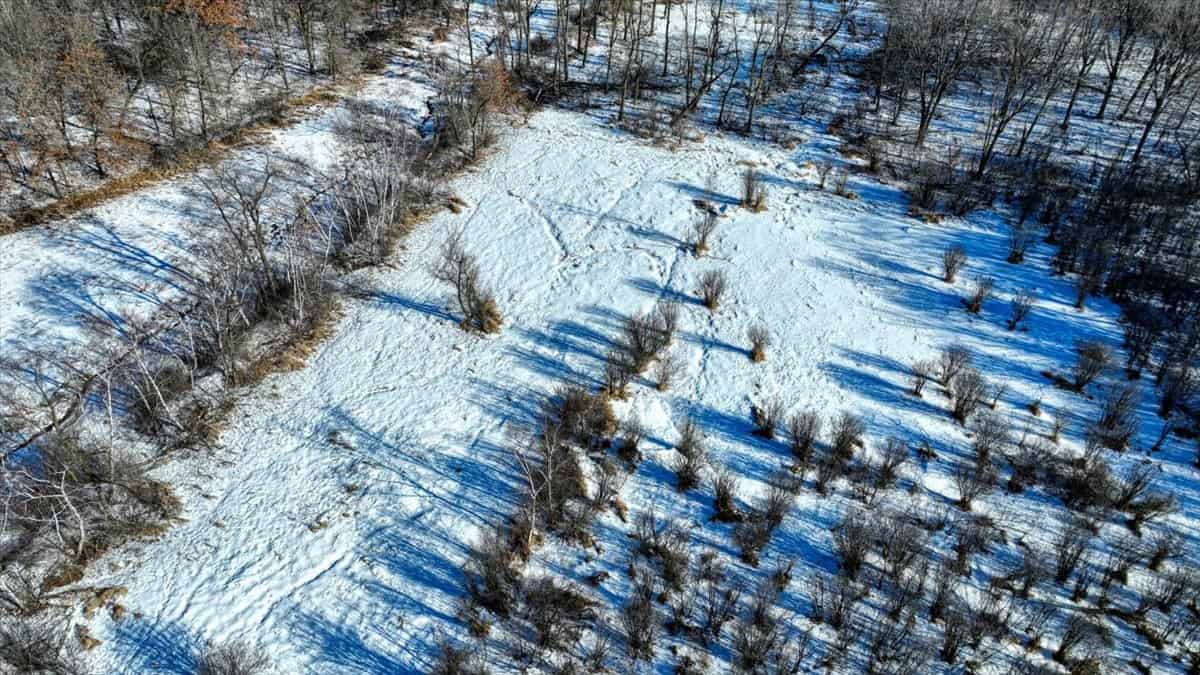 68± Acres of Timber, Water & Recreation | Monroe County, Wisconsin