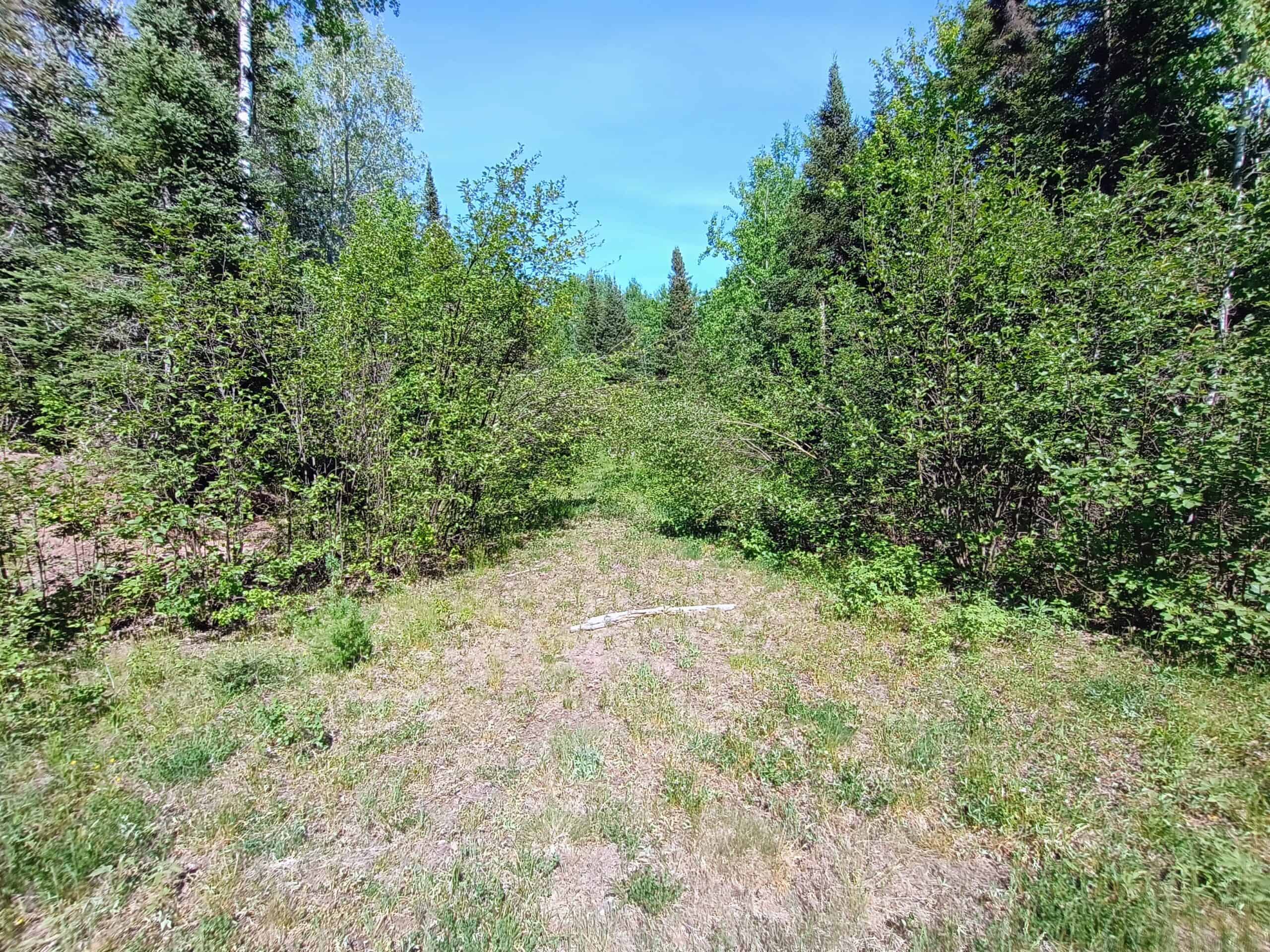 55 Acres With HWY Frontage & Whitetail Hunting Near Park Falls WI