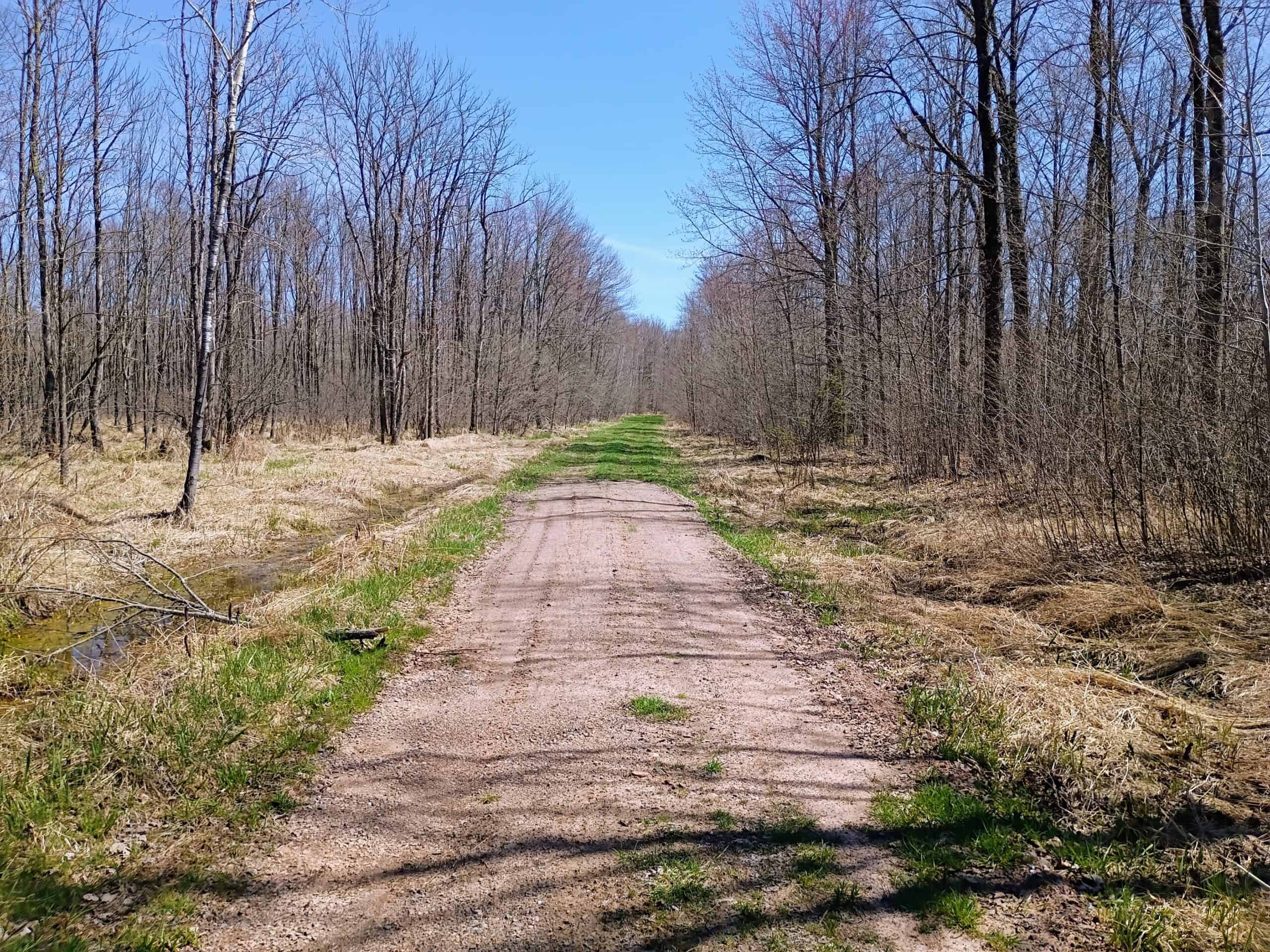 120 ± Acres Bordering Chequamegon National Forest, WI