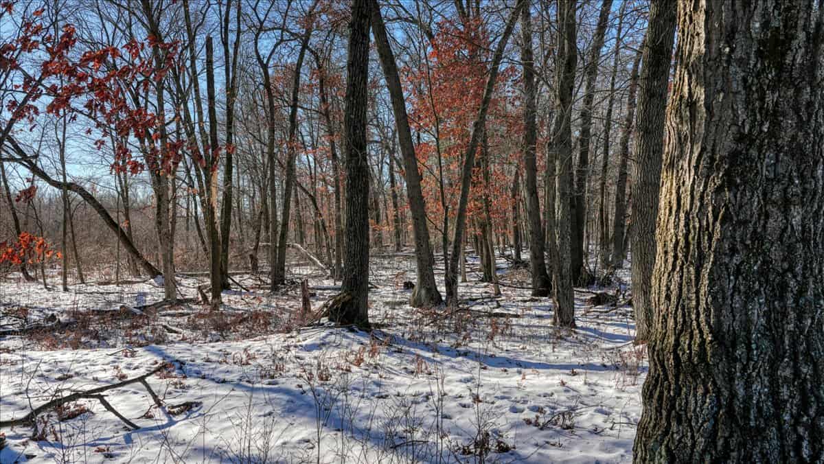 68± Acres of Timber, Water & Recreation | Monroe County, Wisconsin