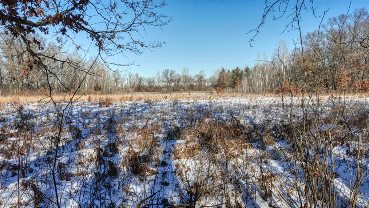 68± Acres of Timber, Water & Recreation | Monroe County, Wisconsin