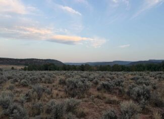 Land For Sale On Glade Park Colorado With Little Dolores River Frontage