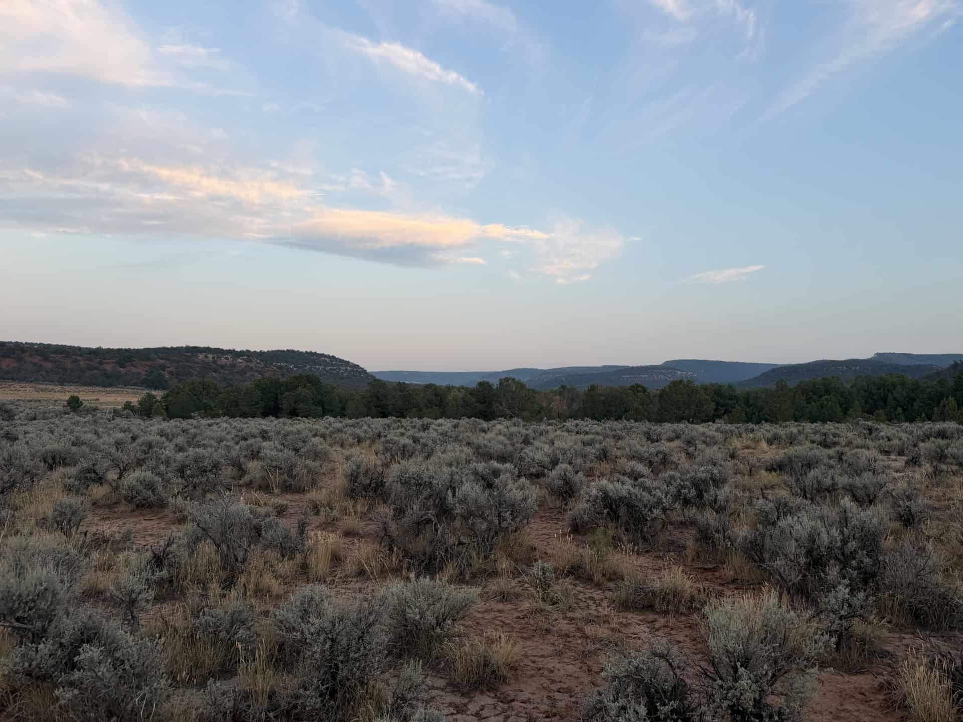 Land For Sale On Glade Park Colorado With Little Dolores River Frontage