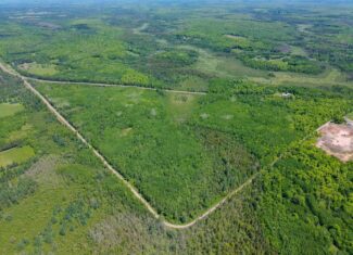 55 Acres With HWY Frontage & Whitetail Hunting Near Park Falls WI