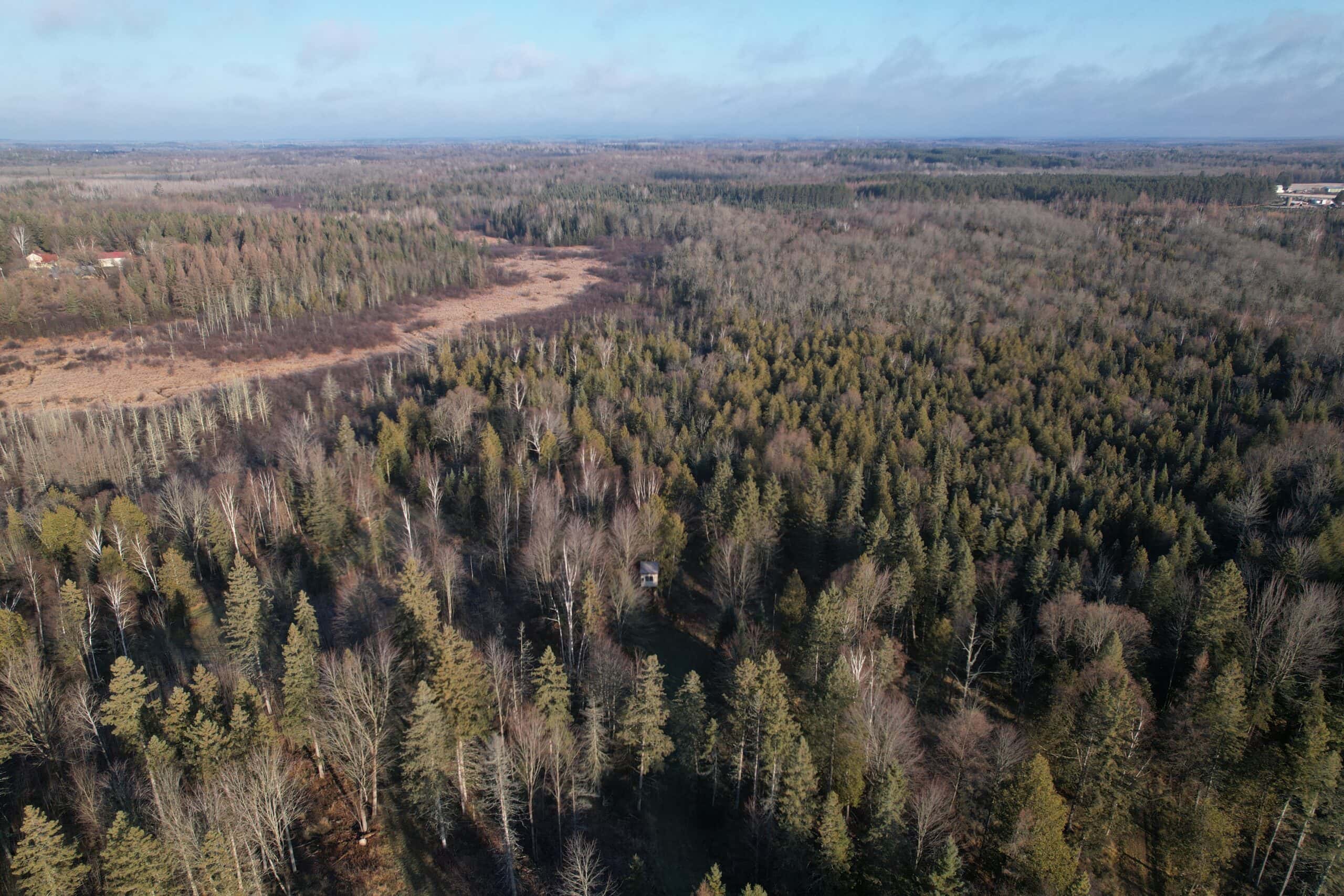 80± Acre Hunting Retreat for Sale in Butternut, WI