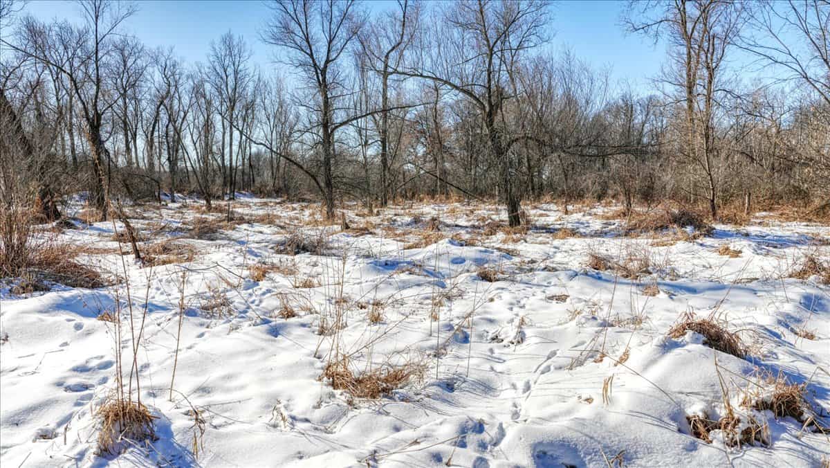 68± Acres of Timber, Water & Recreation | Monroe County, Wisconsin