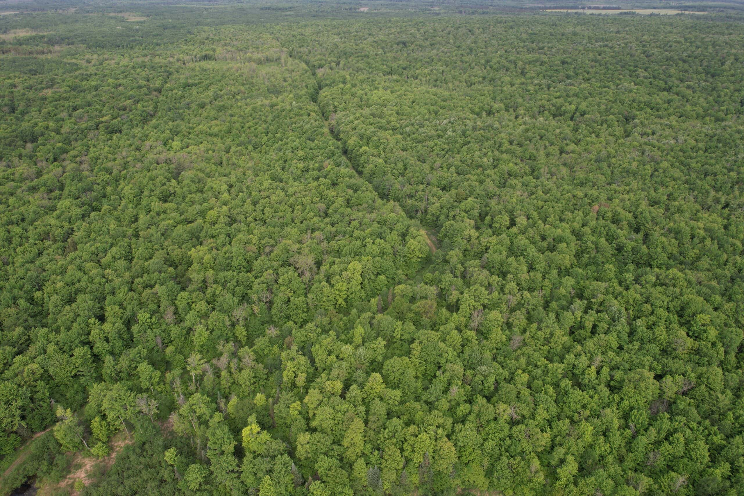 120 ± Acres Bordering Chequamegon National Forest, WI