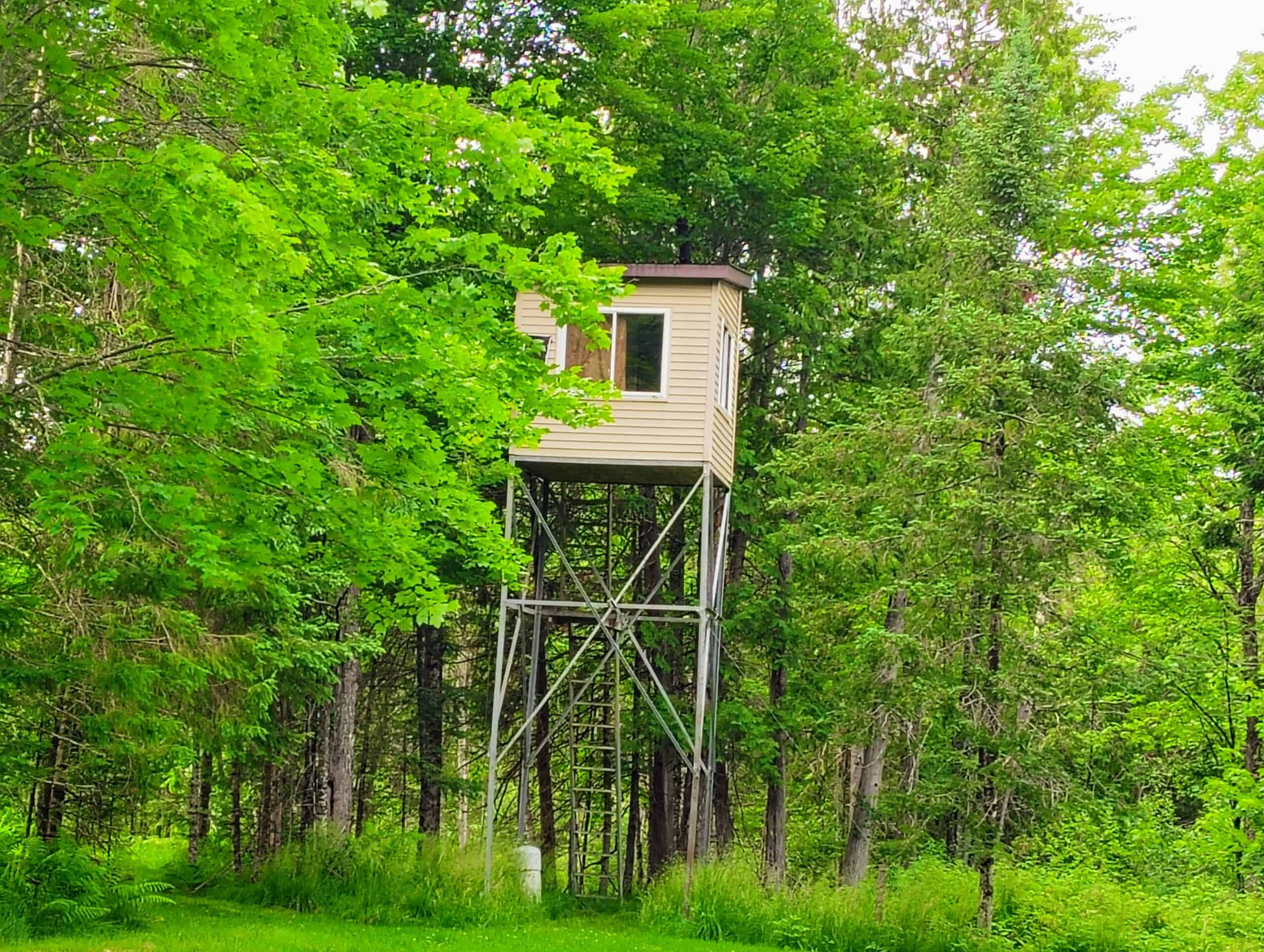 80± Acre Hunting Retreat for Sale in Butternut, WI