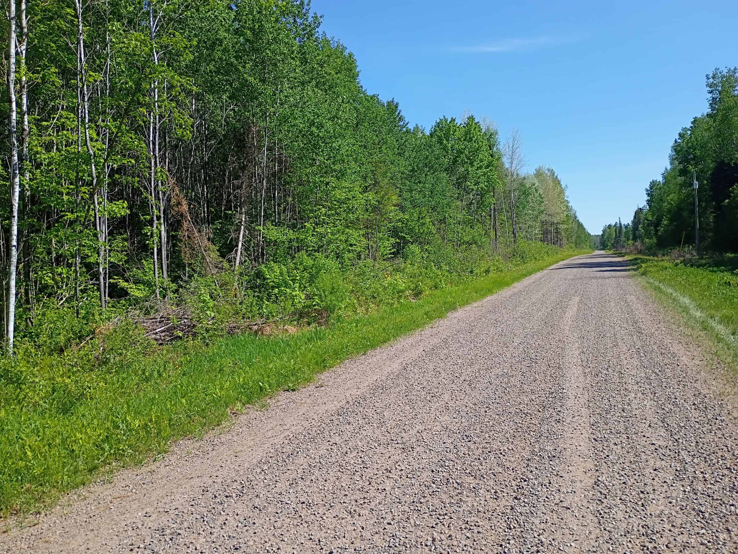 55 Acres With HWY Frontage & Whitetail Hunting Near Park Falls WI