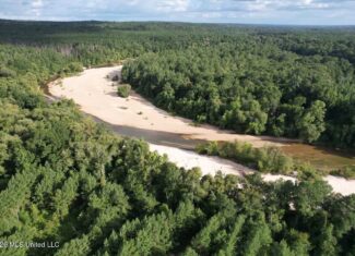 82± Acre Hunting Tract in Meadville, MS