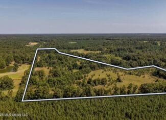 52.25± Acres in Copiah County, MS Near Hazlehurst