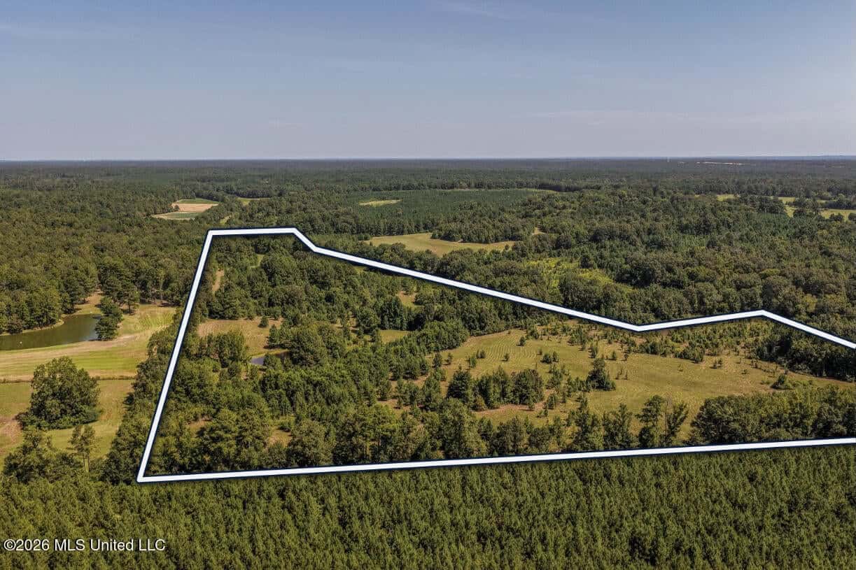 52.25± Acres in Copiah County, MS Near Hazlehurst