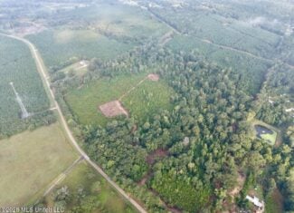 82± Acre Hunting Property in Wilkinson County, MS